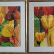 Tulpenserie Acryl/aquarel 